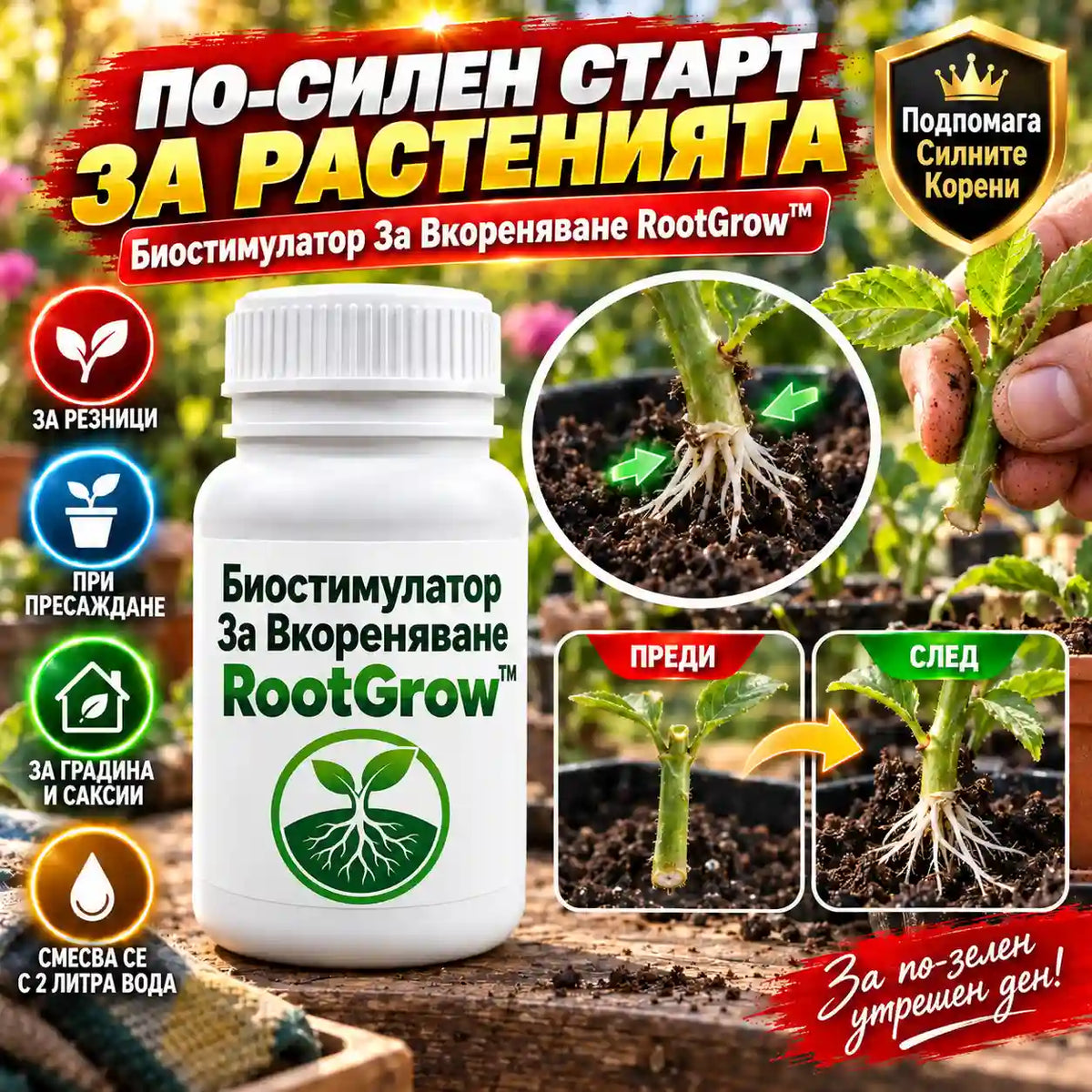 rootgrow-hero